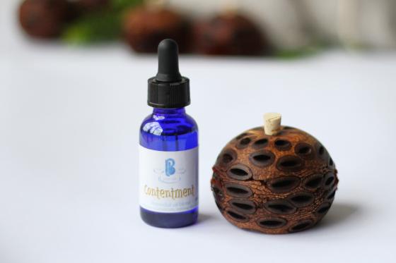 Image of Banksia essential oil diffuser gift pack