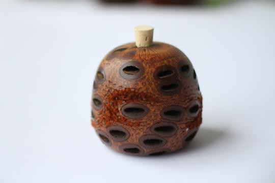 Image of Banksia seed pod essential oil diffuser Medium