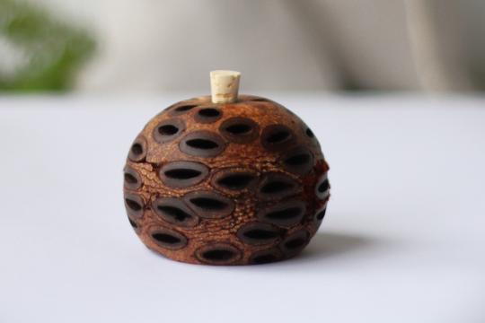 Image of Banksia seed pod essential oil diffuser Small